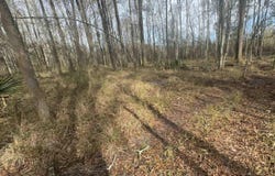 7474 Lemon Rd, Slaughter, LA 70777