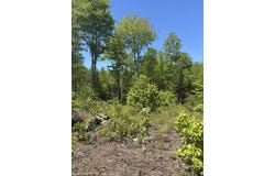 54 Poplar Lane, Hancock, ME 04640