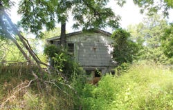 704 Annadell Rd, Lancing, TN 37770
