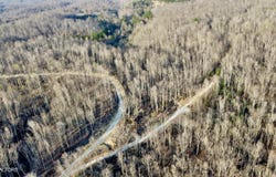 Mill Creek Rd, Sunbright, TN 37872