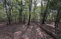 OAK RIDGE Rd, Fayette, AL 35555