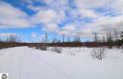 6412 Lora Bette Drive, Alanson, MI 49706