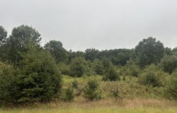 DAYTON Road, WAUPACA, WI 54981