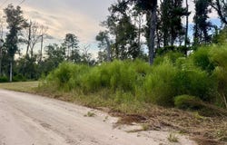 LT606 SW 74TH TRAIL, Jasper, FL 32052