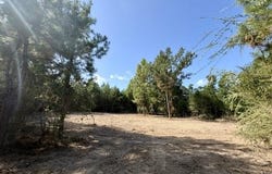 Robert Bateman Road, Franklinton, LA 70438
