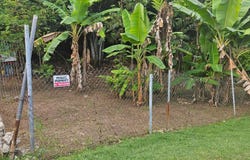 Patillas, Patillas, PR 00723