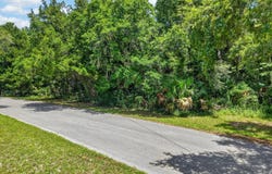 Palm Point, Inglis, FL 34449