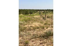 Fm 1929, Paint Rock, TX 76866