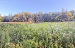 Stark Highway, Stark, NH 03582
