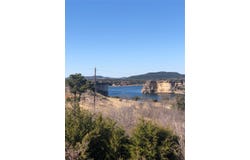 7080 W Hells Gate Drive, Strawn, TX 76475