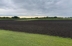 County Road 15, Minto, ND 58261