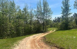 County Road 379, WATER VALLEY, MS 38965