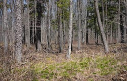 Konsella Road, Gilman, WI 54433