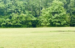 56660 Tanner Trail, Three Rivers, MI 49093
