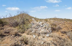 7351 W BROOKHART Way, Peoria, AZ 85383