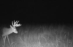 Texas Hollow Rd, Pedro, OH 45659
