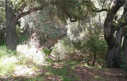 1003 Carbon Canyon, Chino Hills, CA 91709