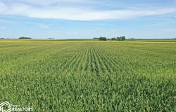 1400th Road, Brocton, IL 61917