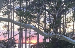 149 Bayshore Street, Sea Level, NC 28577
