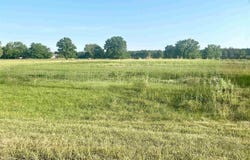 Parkside Dr, Moravia, IA 52571