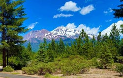 3137 Summit Dr, Mount Shasta, CA 96067-2429