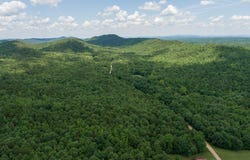 Tbd Ryan Rd, Oden, AR 71961