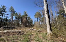 117 Lime Kiln Rd, Lenox, MA 01240