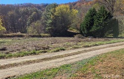 Eagles Trace, Canton, NC 28716