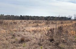 Red Springs Road, Gurdon, AR 71743