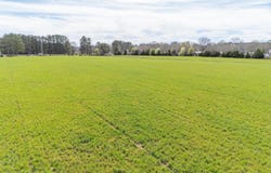 HIGHWAY 69, Savannah, TN 38372