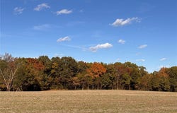 95+/- Acres State Hwy AA, Wright City, MO 63390