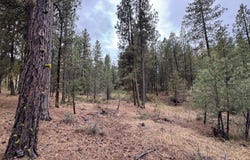 Fireline, Bickleton, WA 99322