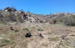 Telesco, Caliente, CA 93518