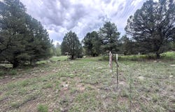 Greer, AZ 85927
