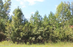 321 Pine Cliff Road, Havelock, NC 28532