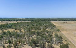 10601 State Highway 95, Flatonia, TX 78941