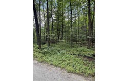 Anderson Road, Grafton, VT 05146
