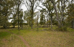 277 FM 672, Dale, TX 78616