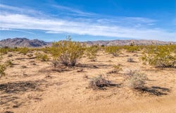 62725 2 Mile Road, Joshua Tree, CA 92252
