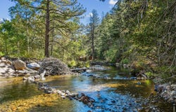 511 Riverside Dr, Lyons, CO 80540
