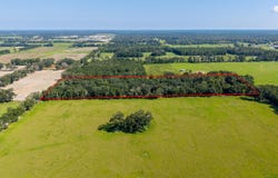 2450 SW 25th Ave, Bell, FL 32619