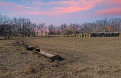 FM 13200, Blossom, TX 75416