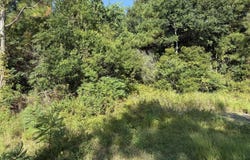 5187 Forest Avenue, Bay Saint Louis, MS 39520