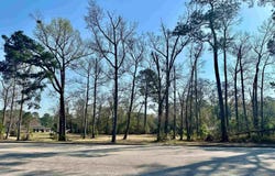 N Main St., Nichols, SC 29581