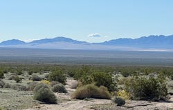 32 Acres, Vidal, CA 92280