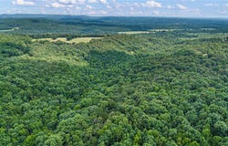 Whitetail Trail lot: 37, Dover, AR 72837