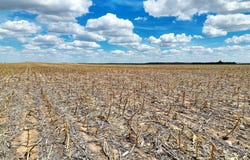 County Road 135, Sidney, NE 69162