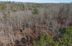 120A Campground Road, Wideman, AR 72585