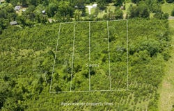 Sparrow Rd., Diana, TX 75640