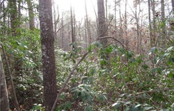 213 Falcon Crest Way, Pickens, SC 29671